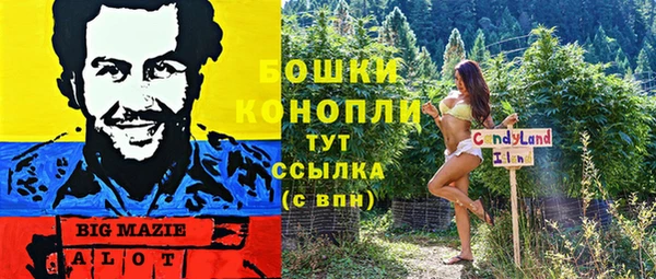 ГАЛЛЮЦИНОГЕННЫЕ ГРИБЫ Алексеевка