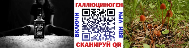 Псилоцибиновые грибы Psilocybe  Отрадная 