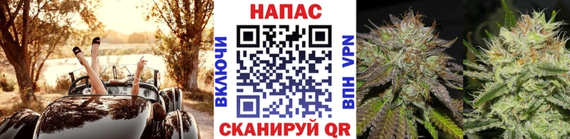 Марихуана сатива Отрадная